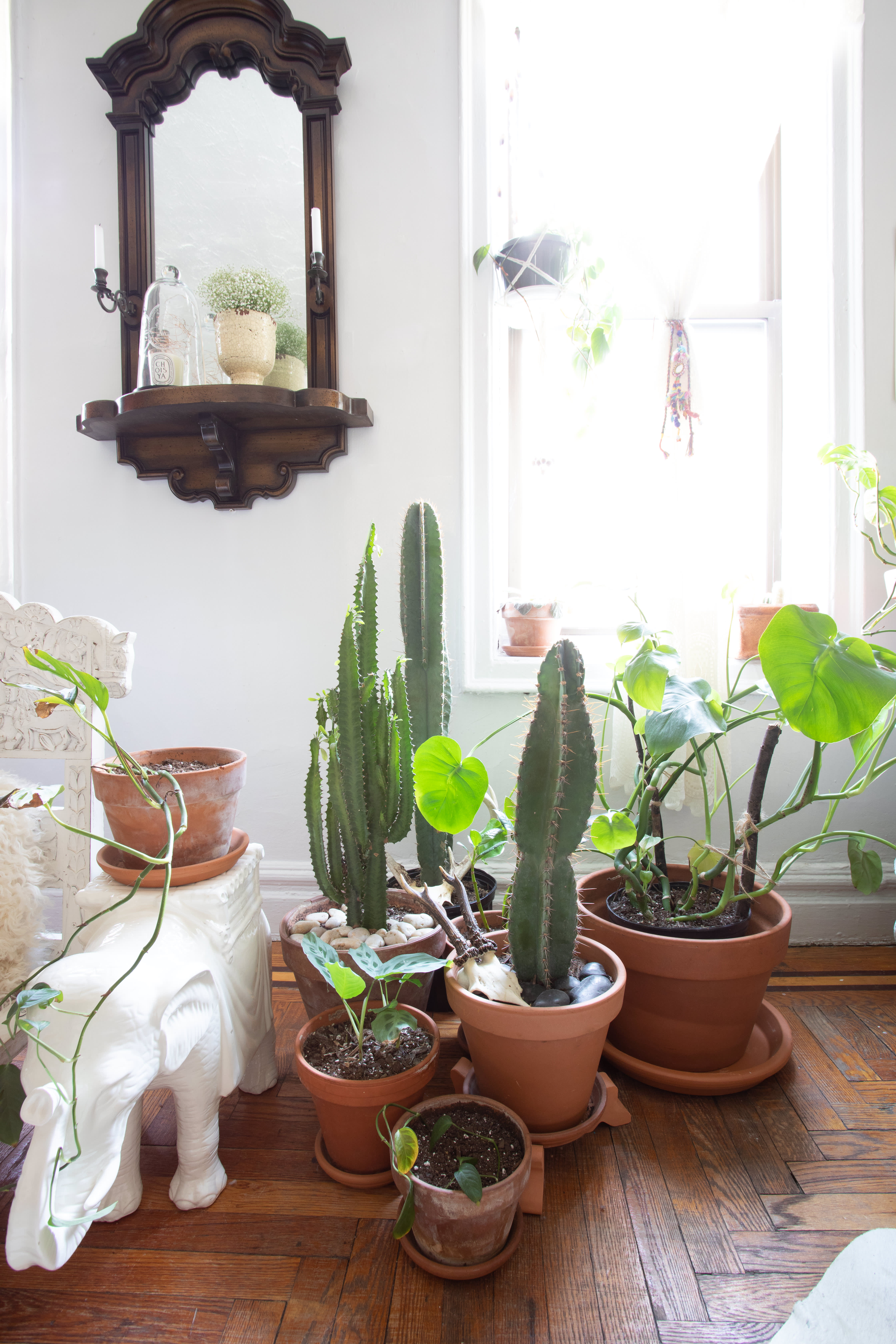 Maximalist Bohemian Eclectic PlantFilled Home Photos Apartment Therapy